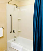 shower grab bar